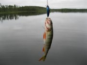 IMG_1679.JPG