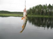 IMG_1681.JPG