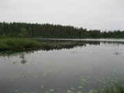 IMG_1710.JPG