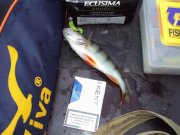 DSC02260.JPG