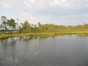 IMG_2124.JPG