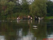 DSC00562.JPG