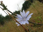 IMG_5786.jpg