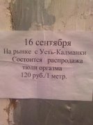 1280285698_13.jpg