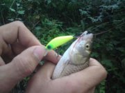 DSC01554.JPG