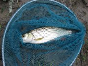 IMG_1542.jpg