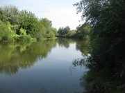 IMG_1547.jpg