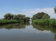 DSC02001.JPG