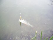 06.08-2.jpg