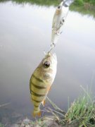 06.08-4.jpg