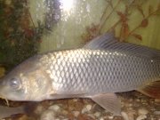 02082010442.jpg