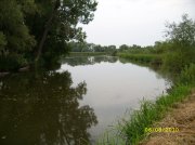 SS853348-1.jpg