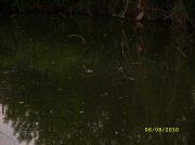 SS853349-1.jpg