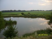 SS853380-1.jpg
