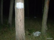 Ровно_Магазины 013-1.jpg