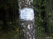 Ровно_Магазины 014-1.jpg