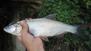 IMG_0503.jpg