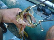 DSC00097.JPG