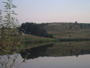 DSC02453.jpg