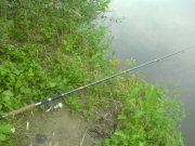 DSC00780.JPG