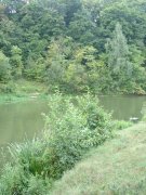DSC00095_1.jpg