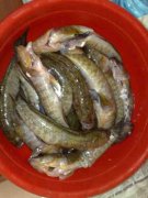25082010819.jpg