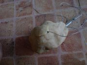 DSC00440.jpg