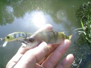 PIC_0360.jpg