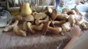 DSC02612.JPG