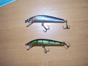 DSC02443.JPG