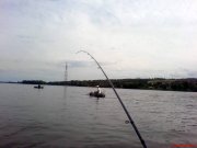 DSC01335.jpg