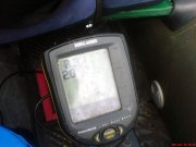 DSC01337.jpg