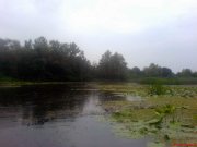 DSC01344.jpg