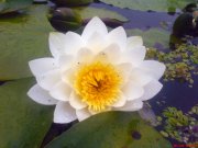 DSC01348.jpg