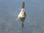 IMG_1592.jpg