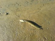 DSC03159.JPG
