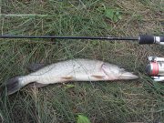 SDC13221.JPG