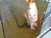 DSC00318.jpg