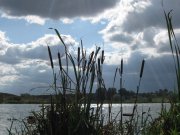 IMG_2168.jpg