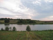 IMG_2308.jpg