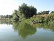 IMG_2176.jpg