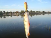 DSC04596.JPG
