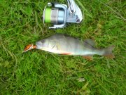 DSC00816.jpg
