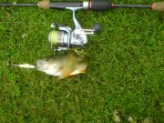DSC00820.jpg