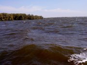 DSC00343.jpg