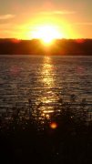 DSC01132.jpg