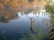 11092010108н.JPG