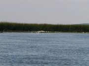 P9140524.jpg