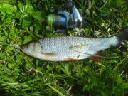 DSC00833.jpg
