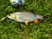 DSC00839.jpg